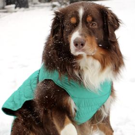 Alpine Extreme Cold Puffer Coat (Color: Arcadia, size: 2X-Large)