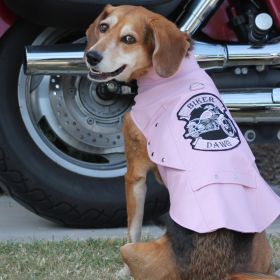 Biker Dawg (Color: pink, size: 3X-Large)